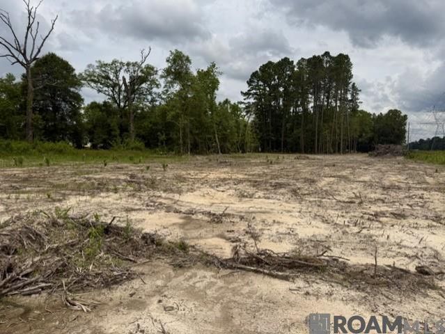 11402 Maxwell Dr, Walker, LA 70785