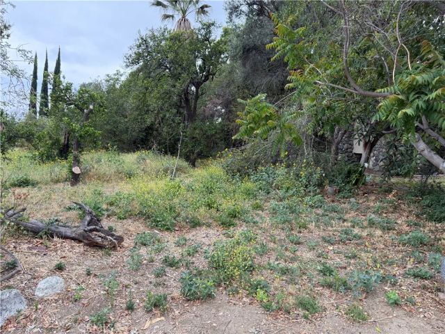 2415 Sierra, Upland, CA 91784