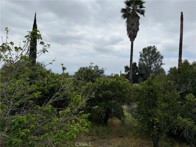 2415 Sierra, Upland, CA 91784