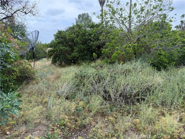 2415 Sierra, Upland, CA 91784