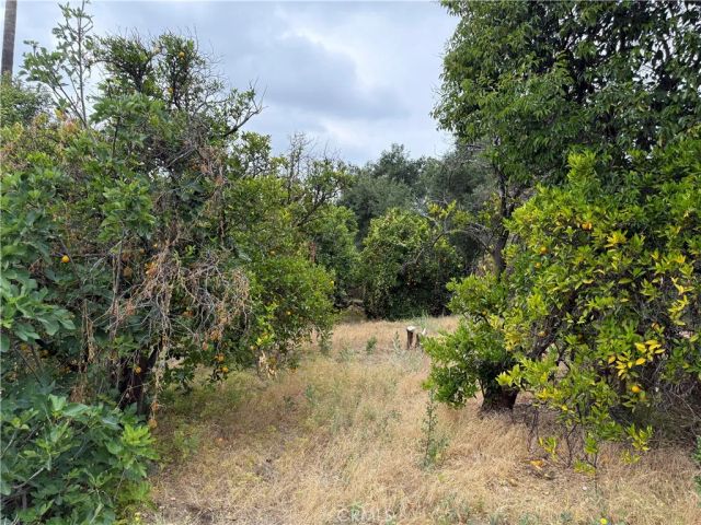 2415 Sierra, Upland, CA 91784