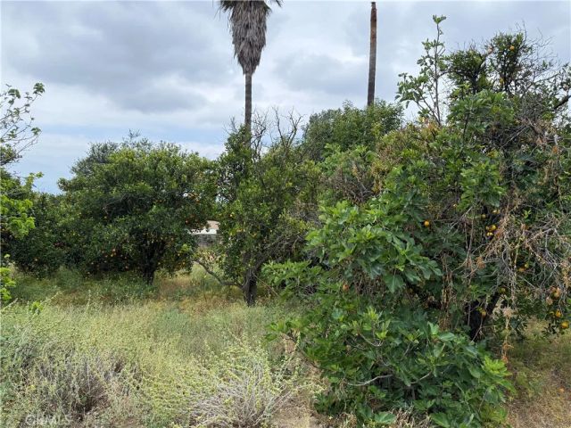 2415 Sierra, Upland, CA 91784