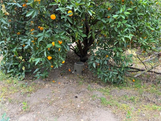 2415 Sierra, Upland, CA 91784