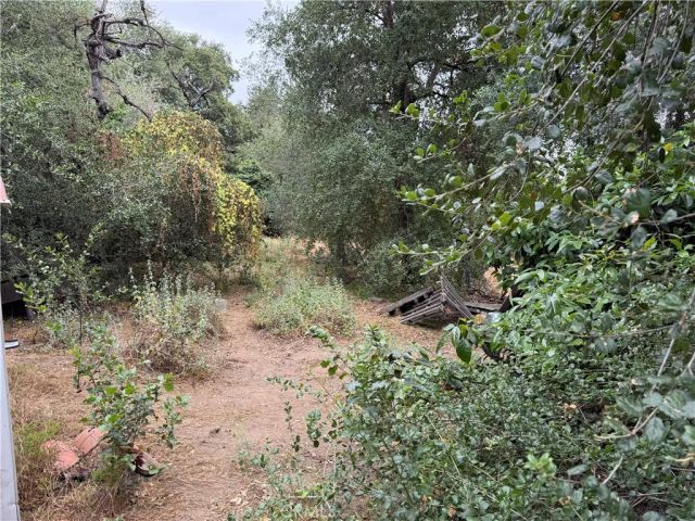 2415 Sierra, Upland, CA 91784