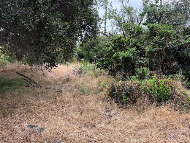 2415 Sierra, Upland, CA 91784
