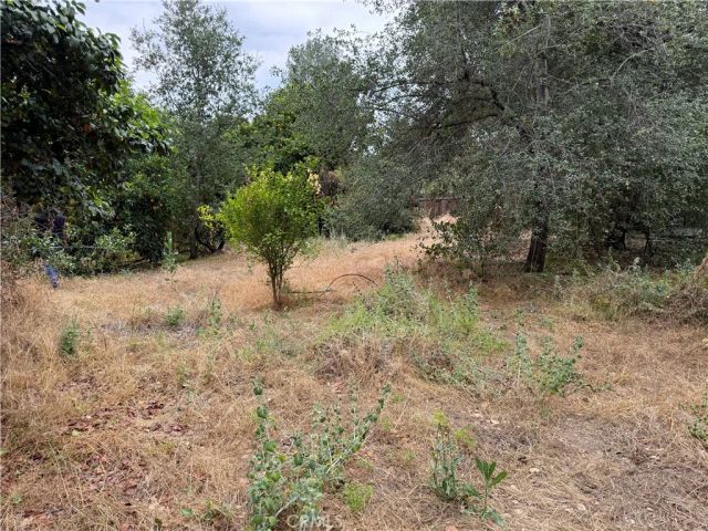 2415 Sierra, Upland, CA 91784