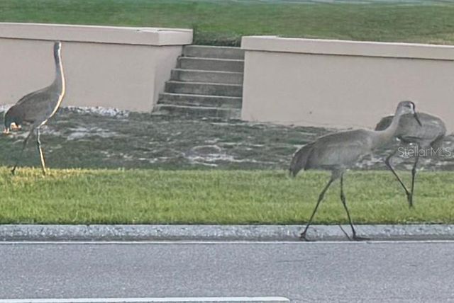 5738 KING JAMES AVENUE, Leesburg, FL 34748