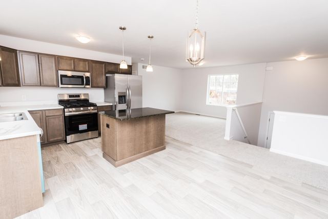 165 Gooding Street, Belding City, MI 48809