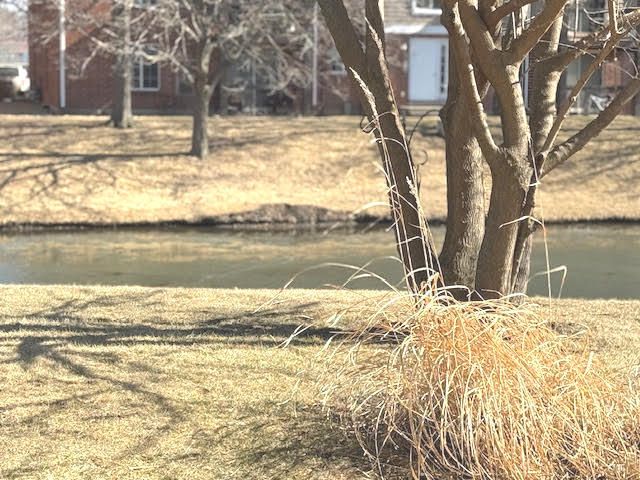 171 N Clare Court, Wood Dale, IL 60191