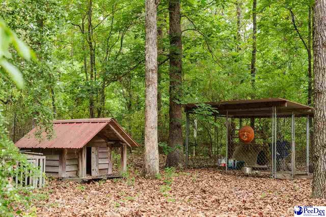 3218 Santee River Drive, Florence, SC 29501