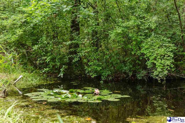 3218 Santee River Drive, Florence, SC 29501
