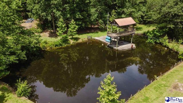 3218 Santee River Drive, Florence, SC 29501