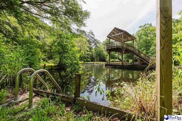 3218 Santee River Drive, Florence, SC 29501