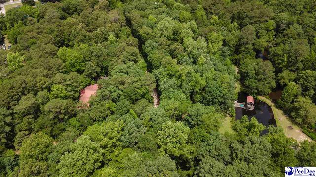 3218 Santee River Drive, Florence, SC 29501