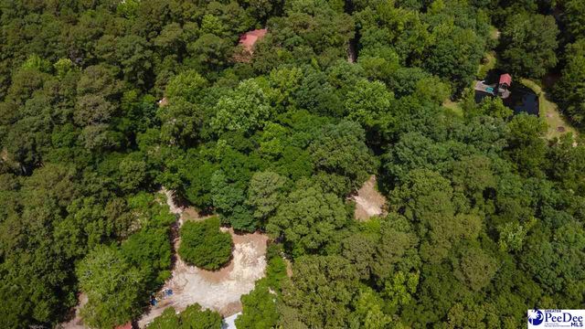 3218 Santee River Drive, Florence, SC 29501