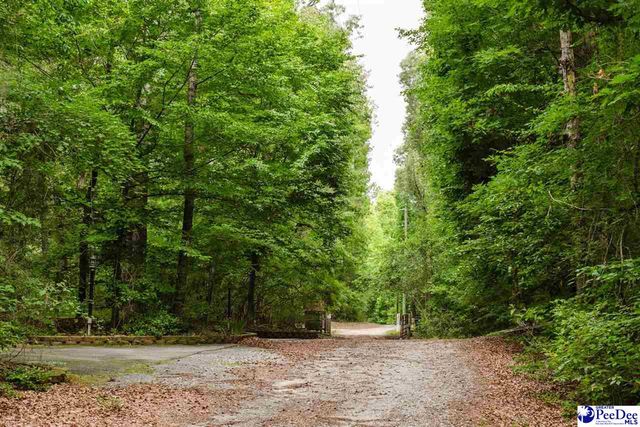 3218 Santee River Drive, Florence, SC 29501