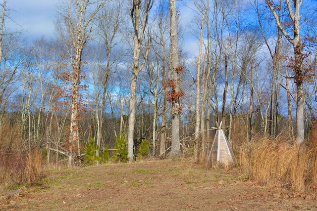 100 Quiet Lane, Blue Ridge, AL 35013