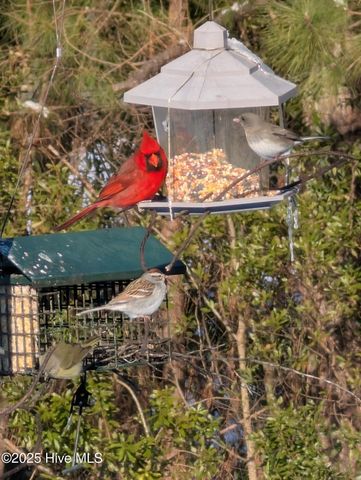 108 Willowbend Drive, Burgaw, NC 28425