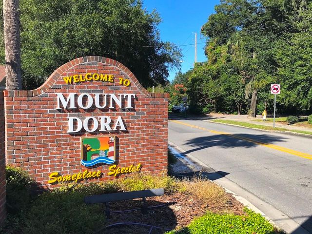 30911 VISTA VIEW, Mount Dora, FL 32757
