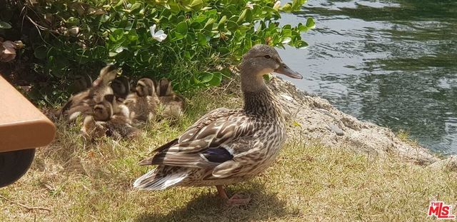 12310 Summertime Lane 310, Culver City, CA 90230