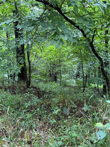 TBD Spring Harbor Road, Siloam Springs, AR 72761