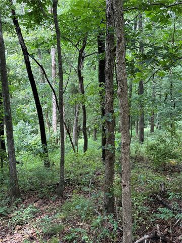 TBD Spring Harbor Road, Siloam Springs, AR 72761