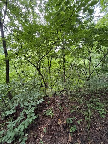 TBD Spring Harbor Road, Siloam Springs, AR 72761