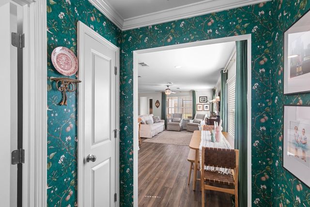 705 Mitchell, Headland, AL 36345