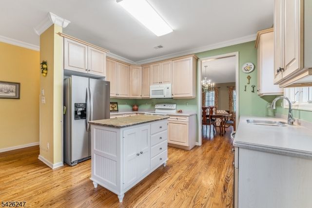 43 Falcon Way, Washington Twp., NJ 07882
