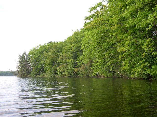 1589 Edgewater Ridge, Traverse City, MI 49684