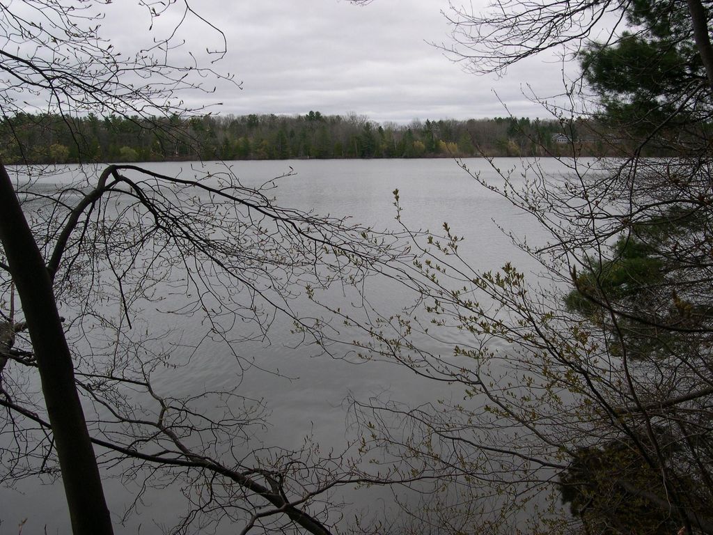 1589 Edgewater Ridge, Traverse City, MI 49684