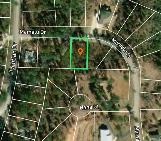 000 Mamalu DR, Bastrop, TX 78602