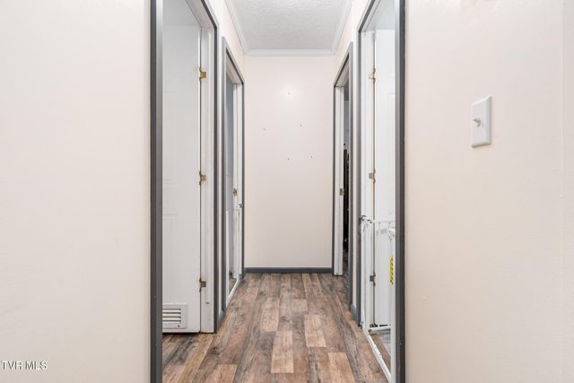 542 Copley Branch Road, Butler, TN 37640