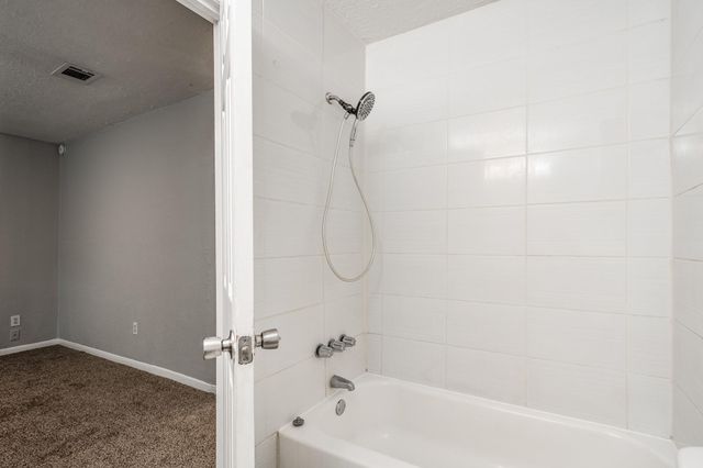 318 Blue Tail Drive, Houston, TX 77336