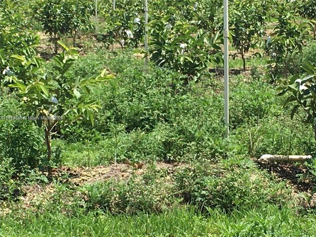 15000 SW 256 ST., Homestead, FL 33032