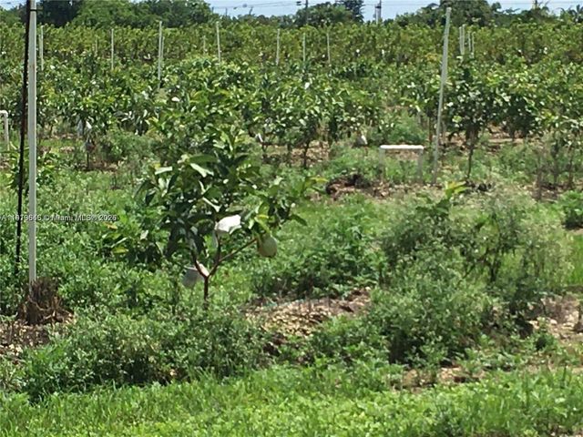 15000 SW 256 ST., Homestead, FL 33032