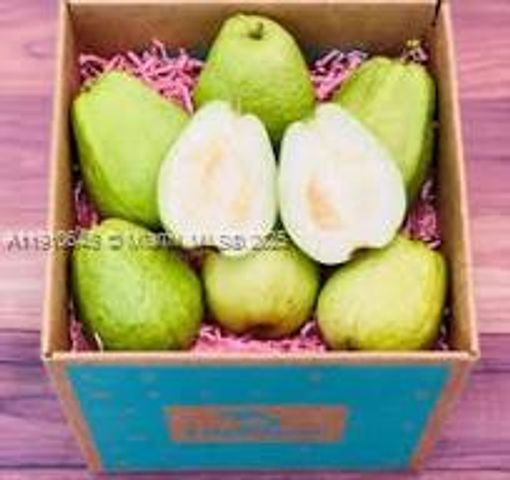 15000 SW 256 ST., Homestead, FL 33032