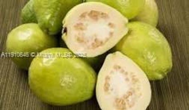 15000 SW 256 ST., Homestead, FL 33032