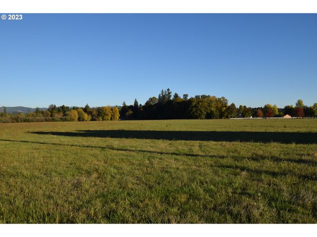 0 Ne 167 Ave, Brush Prairie, WA 98606