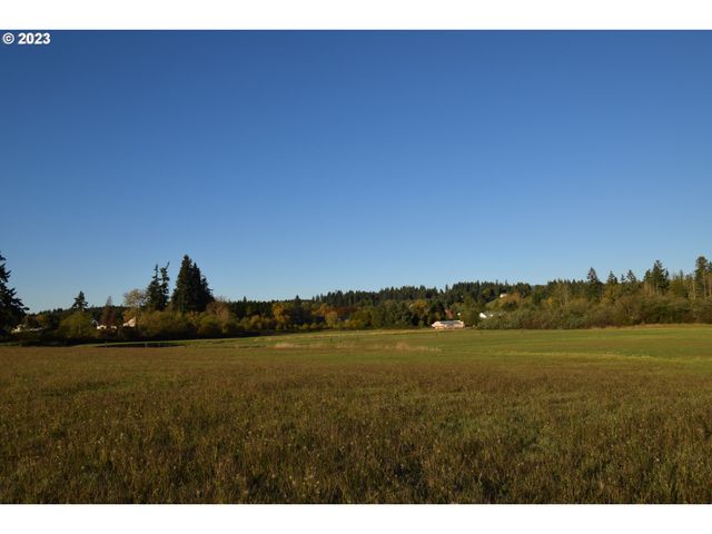 0 Ne 167 Ave, Brush Prairie, WA 98606
