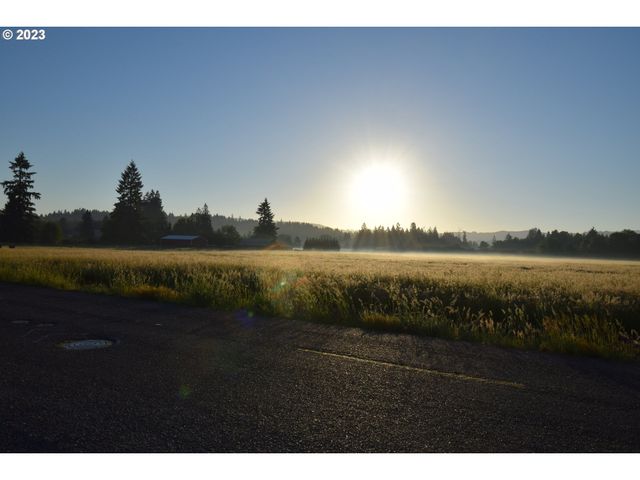 0 Ne 167 Ave, Brush Prairie, WA 98606