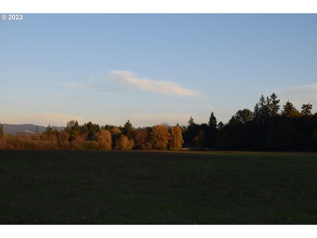 0 Ne 167 Ave, Brush Prairie, WA 98606