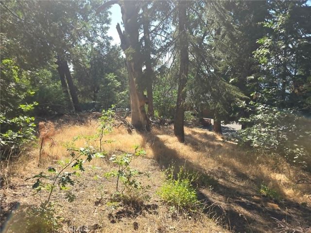 30778 Live Oak, Running Springs, CA 92382