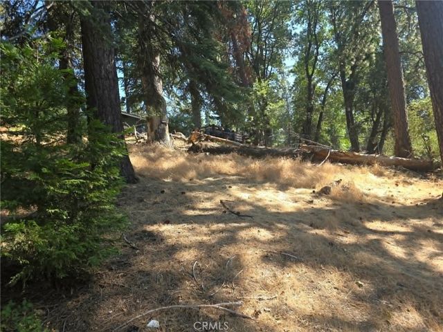 30778 Live Oak, Running Springs, CA 92382