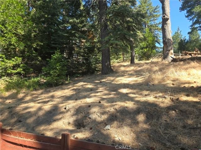 30778 Live Oak, Running Springs, CA 92382