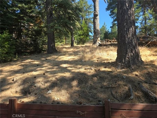 30778 Live Oak, Running Springs, CA 92382