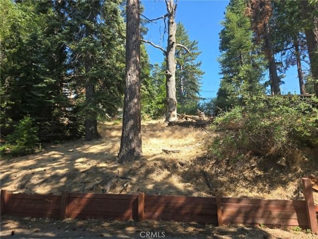 30778 Live Oak, Running Springs, CA 92382