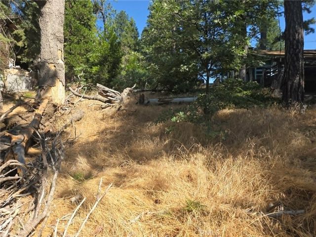 30778 Live Oak, Running Springs, CA 92382