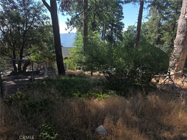 30778 Live Oak, Running Springs, CA 92382
