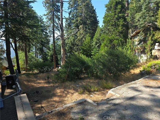 30778 Live Oak, Running Springs, CA 92382